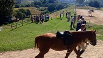 Wine tasting and horseback riding in Montepulciano, in Tuscany from Rome