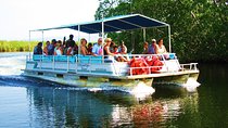  Black River Safari & YS Falls Tour from Runaway Bay