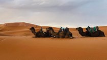 Desert Trip from Fes to Fes via Merzougua (2days,1night)