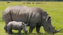 10 Days Maasai Mara photographer safari