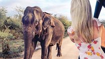 7 Days Private Tour with English Speaking Guide - Explore Sri Lanka