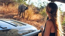Day Excursions to Udawalawe from Bentota