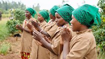 Women-led Coffee Farm Trek