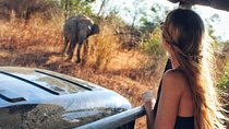 Day Trip to Udawalawe from Colombo (Transfer only)