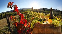 Chianti, SuperTuscan & San Gimignano - 2 wineries and light lunch