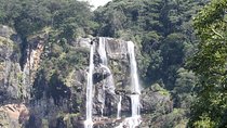 4 Days Mikumi & Udzungwa National Parks Safari