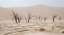 10 DAYS BEAUTY OF NAMIBIA | Guided Lodge