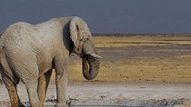 06 Days Etosha, Swakopmund and Sossusvlei | Guided Lodge