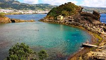 Whale Watching Tour + Vila Franca Islet: Full-day with lunch