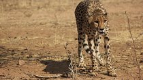 12 Days Guided Namibia In Plus | Guided Lodge