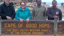 2 Days Best of the Cape Tour with Shark Cage Diving