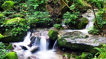 Hiking experience from Shivapuri to Nagi Gumba to Baghdwar 