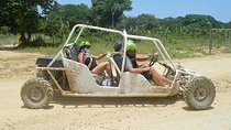 Family Buggy - Suzuka Tours Punta Cana