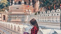 Kandy Day Tour From Colombo with Pinnawala