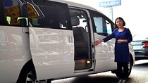 Private Arrival Transfer: Chengdu International Airport (CTU) to Hotel