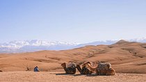  Marrakech: Agafay Desert & Atlas Mountains Tour With Camel Ride 