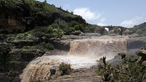 Same-day adventure of Debre Libanos & Jema Gorge excursions