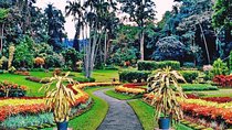 Kandy city tour for couple price 