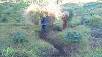 Batur Caldera Sunrise Trekking