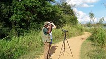 Birdwatching from Habarana