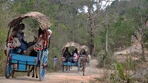 Sigiriya Village Tour from Negombo