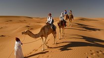 Camel Trekking Dubai with Morning Dune Bashing and Sand Boarding