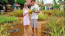 Pearl Harbor, Dole Plantation, Polynesian Center from Waikiki 