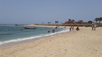 Turtles Bay, Swimming with Turtles Hurghada & Marsa ALam 