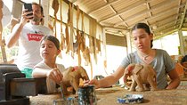 Sri Lankan Crafts and Spices Tour from Kandy
