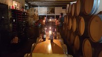 Wine Tasting Tour