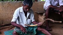 Bentota City Tour from Mirissa 