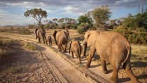 Safari 3 Days, 2 Night - Samburu National Reserve and Buffalo Springs