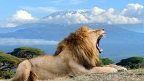 2-Day Group Safari to Amboseli National Park (All Inclusive)