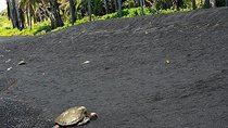 Hawaii Volcanoes National Park Experience from the Big Island