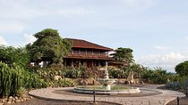 Palo Verde Jungle Tour