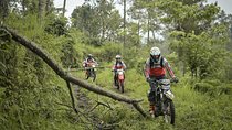Bali 4 Day Wilderness Tour