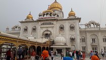 8 hr Private Guided Delhi City Tour