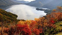Nikko private tour with English speaking guide
