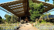 Cavite Leisure And Farm Tour 