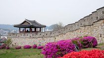 Korean Folk Village & Suwon Hwaseong Fortress Private Tour