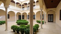 Private visit to Picasso Museum in Malaga with official tour guide