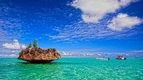 Catamaran Cruise to Ile Aux Bénitiers: Dolphin watch, Crystal Rock & Transfer