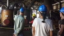 Hampden Estate Rum Tour and Lunch from Ocho Rios