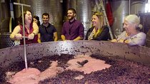 Mornington Peninsula Winery Tour - Lunch Included