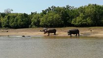 7 days Mikumi , Ruaha & Selous Game Reserve 