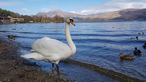 Glorious Scotland Scenic Tour From Glasgow Area
