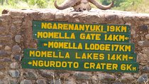 1 Day Private Safari in Arusha National Park.