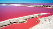 Ek Balam, Rio Lagartos and Las Coloradas Private Tour from Cancun