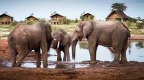 7 Day Highlights Of Botswana Overland Tour – ACCOMODATED (midrange) 