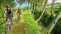 Bali Downhill Cycling and White Water Rafting